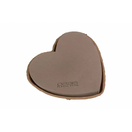 Oasis biolit bio hart 25.5x28x4cm 1st