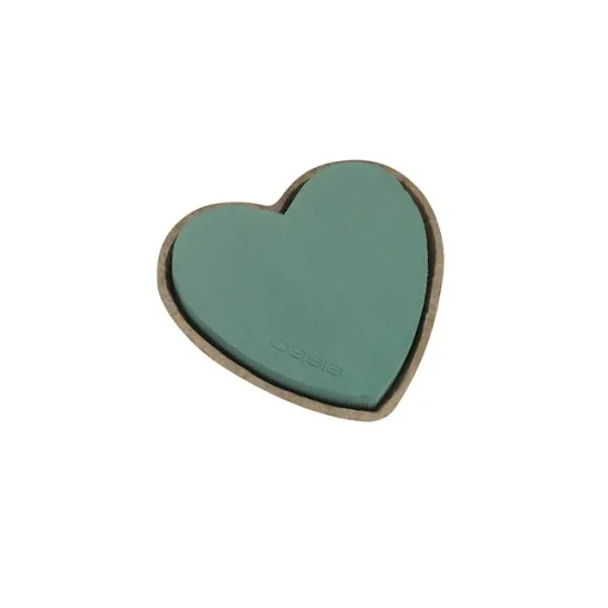 Oasis biolit hart 25,5x28x4cm 1st