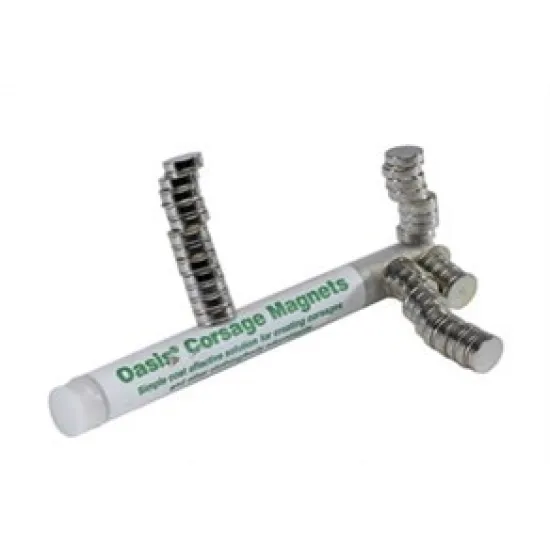 Oasis corsage magneet 1 cm (set van 2st)