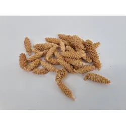 Omorika rasped bleached +/-500gr