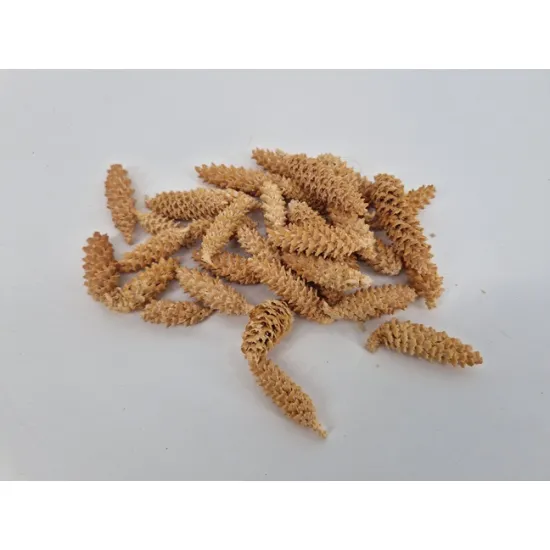 Omorika geraspeld gebleekt +/-500gr