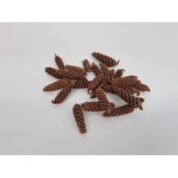 Omorika rape naturel +/-100gr