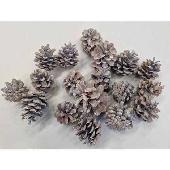 Austriaca (pinus nigra) white wash +/-200gr