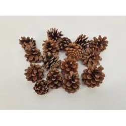 Austriaca (pinus nigra) naturel +/-200gr