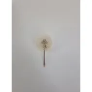 Dandelion 3.5-4.5cm natural 1pc