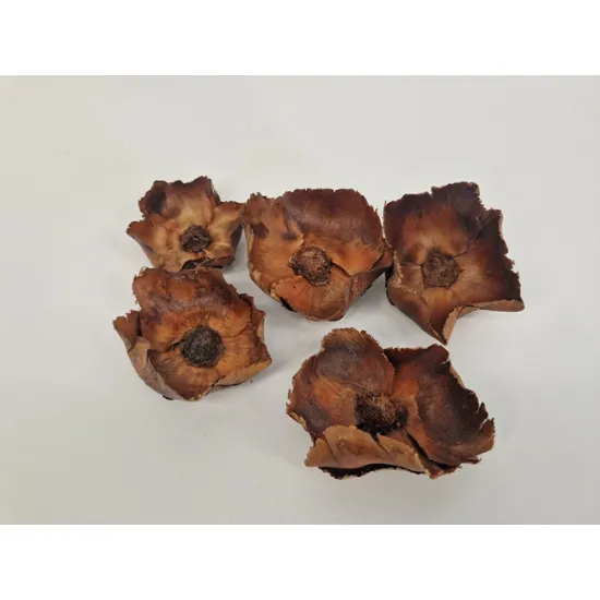 Palm cup naturel 5pcs