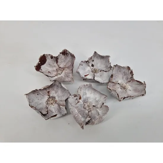 Palm cup white wash 5pcs