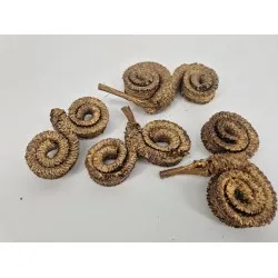 Palm male special or 15pcs