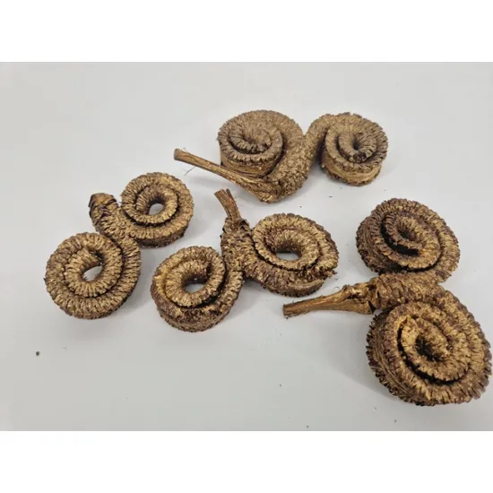 Palm male special or 4pcs