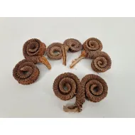 Palm male special naturel 15pcs