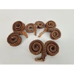 Palm male special naturel 15pcs