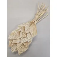 Palm spear gebleekt 20st