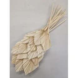Palm spear bleached 20pcs