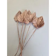 Palm spear rose gold 20pcs