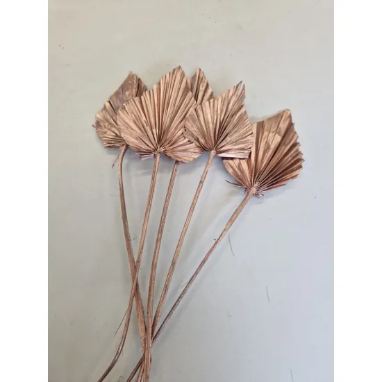 Palm spear rose gold 20st