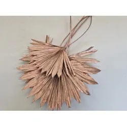 Palm sun rose gold 10pcs