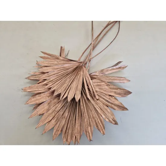 Palm sun rose gold 10pcs