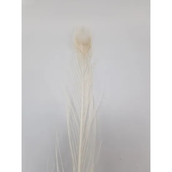 Peacock feather 80-100cm bleached 1pc