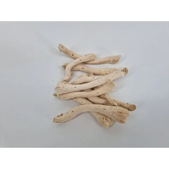 Pepe cut (cabstick/pepe cone) blanchi +/-500gr