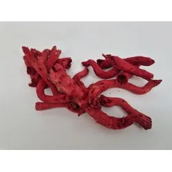 Pepe cut (cabstick/pepe cone) red +/-50gr