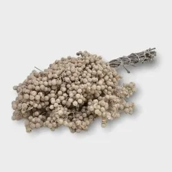 Pepperberry bleached