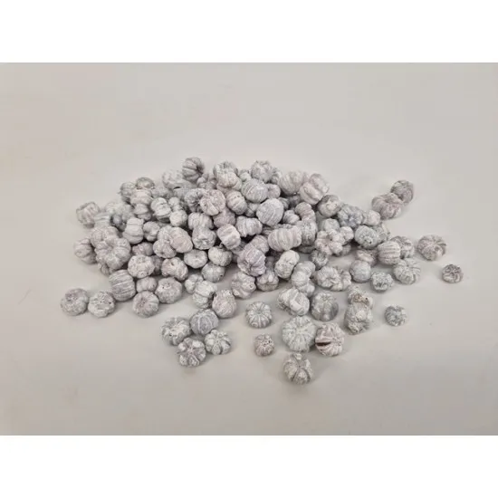 Phutka pods wit +/-50gr