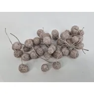 Plataanbollen champagne