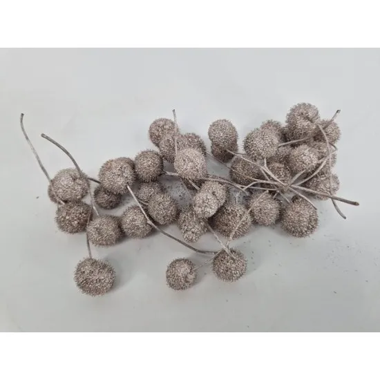 Plataanbollen champagne