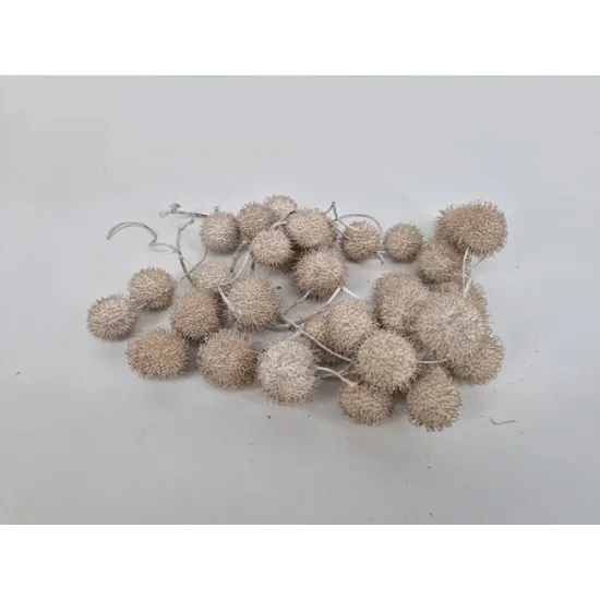 Plataanbollen wit 1/2