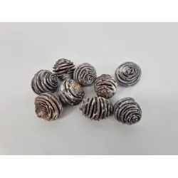 Platyspermum med white wash  +/-100gr