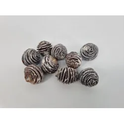 Platyspermum medium white wash 1kg