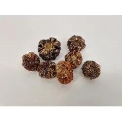 Pompoen gold wash +/-50gr