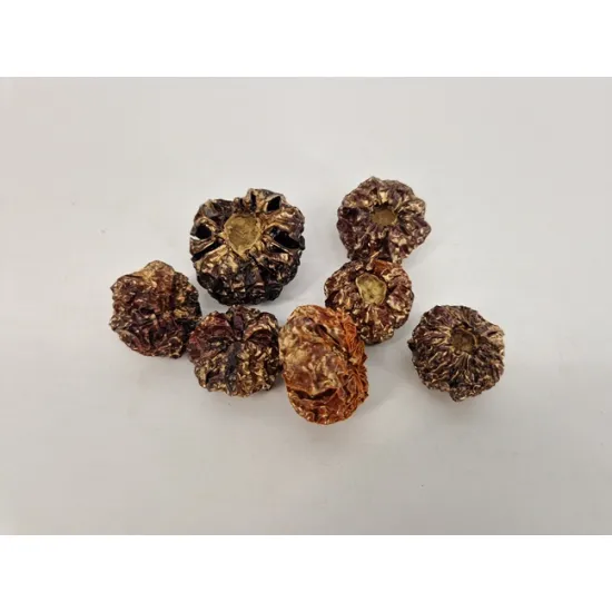 Citroulle gold wash +/-50gr