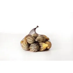 Pompoen mini (pumpkin) naturel 12st