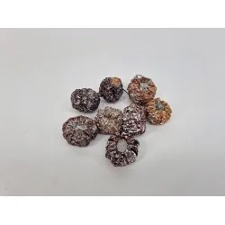 Pompoen silver wash +/-50gr