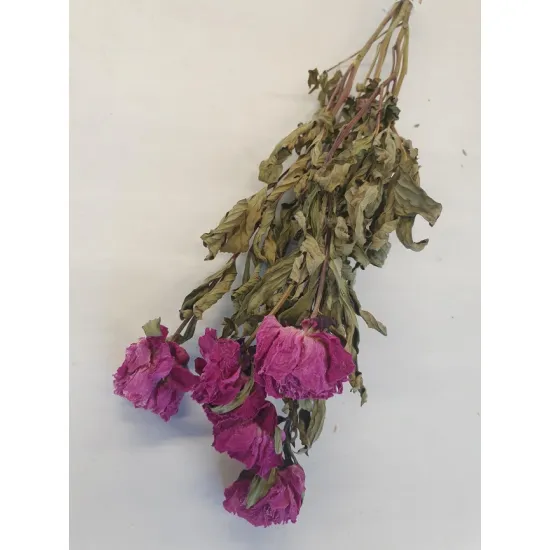 Pioenen donker roze naturel