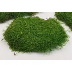 Spray refurbish mousse vert 400ml