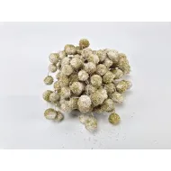 Fruit du platane blanc + glitter or