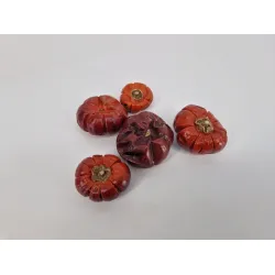 Pompoenen (solanum) +/-30gr