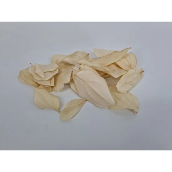 Quina blad gebleekt +/-10gr