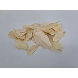 Quina blad gebleekt +/-50gr