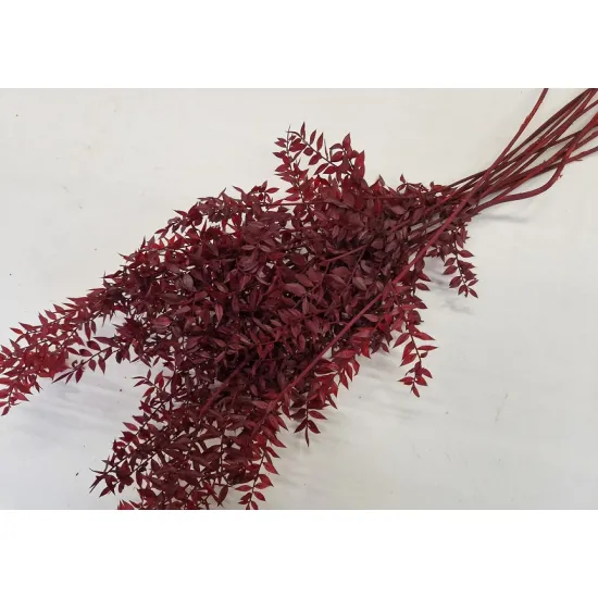 Ruscus bordeaux+/-200gr
