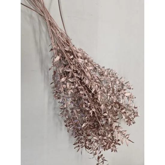 Ruscus rose gold +/-100gr