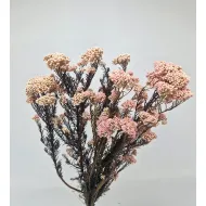 Rice flower naturel stabilise +/-110-130gr