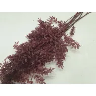 Ruscus raspberry  +/-200gr