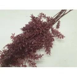 Ruscus raspberry  +/-200gr