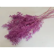 Ruscus freesia +/-200gr 