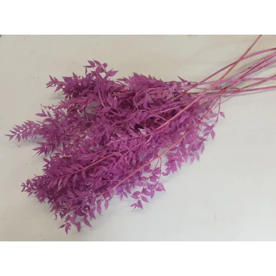 Ruscus freesia +/-200gr
