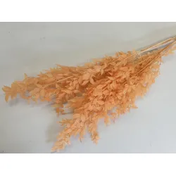 Ruscus gebleekt +/-200gr 