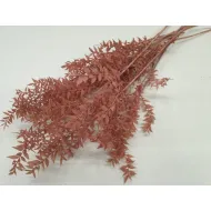 Ruscus rose pastel +/-200gr